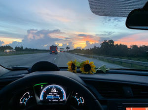 Meet your Posher, Shelby lynn